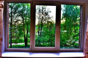 Cat Garden Economy Apartments Riga