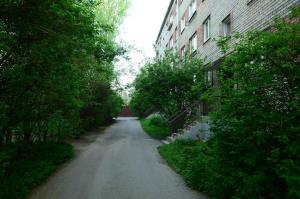 Cat Garden Economy Apartments Riga