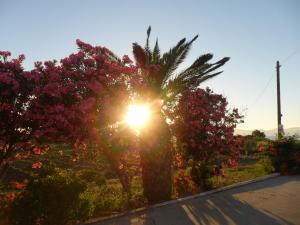 Miros Hotel Apartments