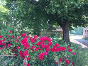 B&B / Chambres d'hotes Villa Toulousaine : photos des chambres