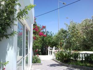 Hotel Apollon Achaia Greece