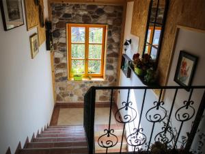 Apartment Vila Lokve