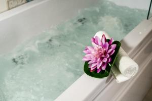 Fior di Loto Sweetness img36