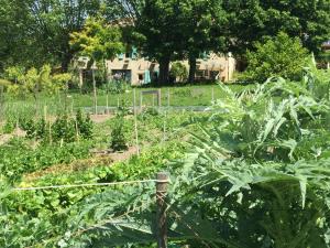 B&B / Chambres d'hotes La Source, Vegetarian Guest House : photos des chambres