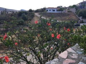 Stone house Argolida Greece