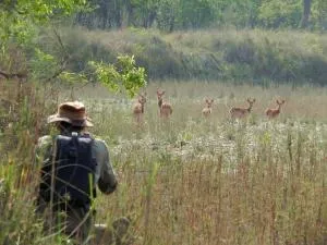 Racy Shade Resort Pvt.Ltd. - Lekparajuli