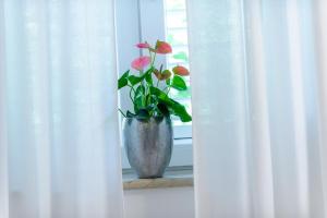 Apartment Antonella 