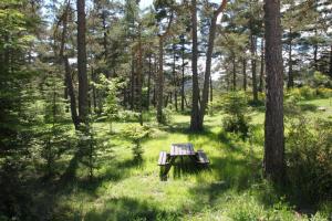 Maisons de vacances Le Cytise : photos des chambres