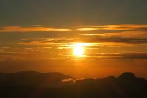 Hotel mango tree nearest Adam's peak - Guruluwana