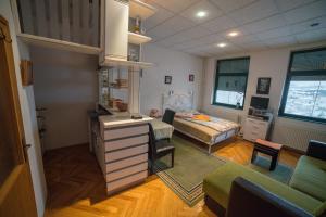 Downtown Zlatibor Apartment