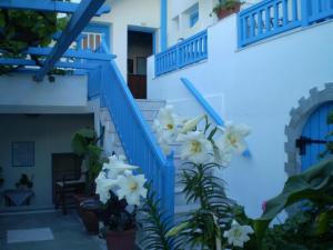 Hotel Anixis Naxos Greece