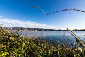 Case Panoramiche sul Lago