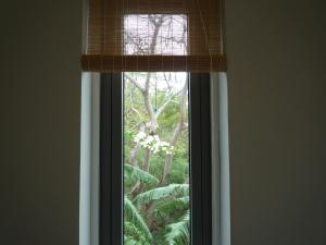 Bella Vista Vung Tau