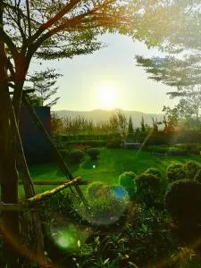 The Focus Khaoyai Resort - Khao Yai