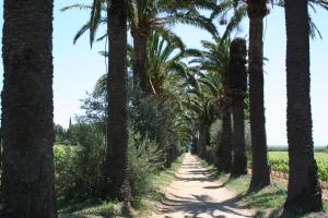 Hotels Hotel La Cigale : photos des chambres