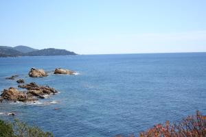 Hotels Hotel La Cigale : photos des chambres