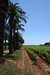 Hotels Hotel La Cigale : photos des chambres