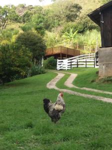 Sítio da Dinda - Campos do Jordão