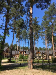 Eternite - Poznaj Podlasie