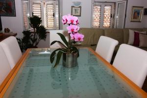 Princess Doras Apartment