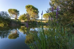 B&B / Chambres d'hotes La Marviniere : photos des chambres