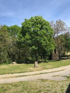 Chalets Domaine De Malcor : photos des chambres