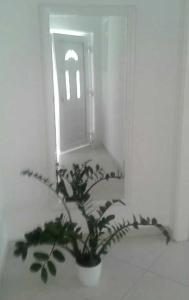 Apartman Suzana