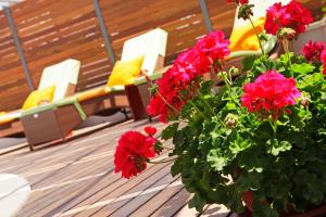 Apartments Diana - NEW heated pool