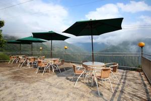 lala shan 5 5k farm stay