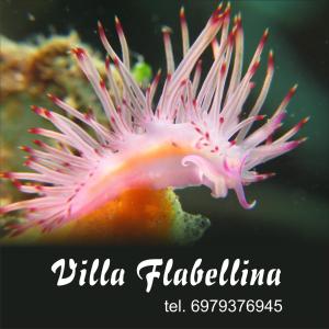 Villa Flabellina Rethymno Greece