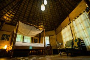 The Barefoot At Havelock