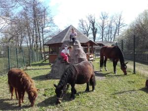 Guesthouse Zorko Gostilna Domen