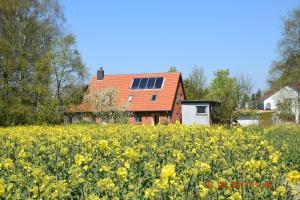 Ferienwohnung mit Tiny House