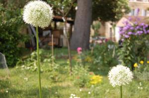 B&B / Chambres d'hotes Madeleine Bergerac : photos des chambres