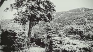 Hotel Regina Delle Dolomiti