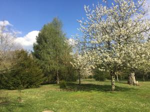 Maisons de vacances Longere 2 pers au coeur de la Touraine : Maison 1 Chambre