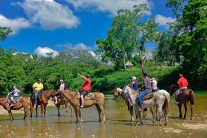 Banana Bank Lodge & Jungle Horseback Adventures