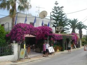 Harry's Bar & Apartments 1 - Agios Spyridon Corfu