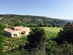 Maisons de vacances Gite Vigneron du Domaine d'Alon : photos des chambres