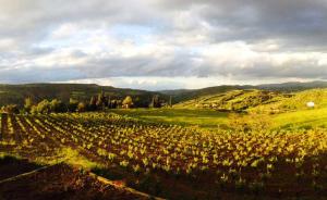 Maisons de vacances Gite Vigneron du Domaine d'Alon : photos des chambres