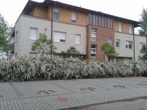 Anita Apartment