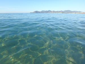 Appart'hotels Residence Veles Plage : photos des chambres