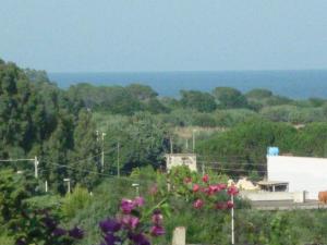 Deiana's Apartment - Sea view img41