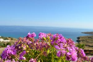 Villa Ioanna Tinos Greece