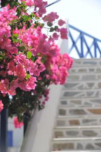 Dora's Studios & Apartments Syros Greece