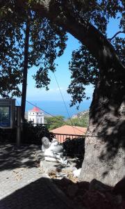 Athina's House Thassos Greece