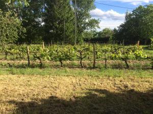 Gite Brandet Savignac