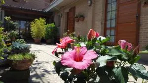 B&B ENSILEVA BEACH - ليدو ديلي ايستينسي