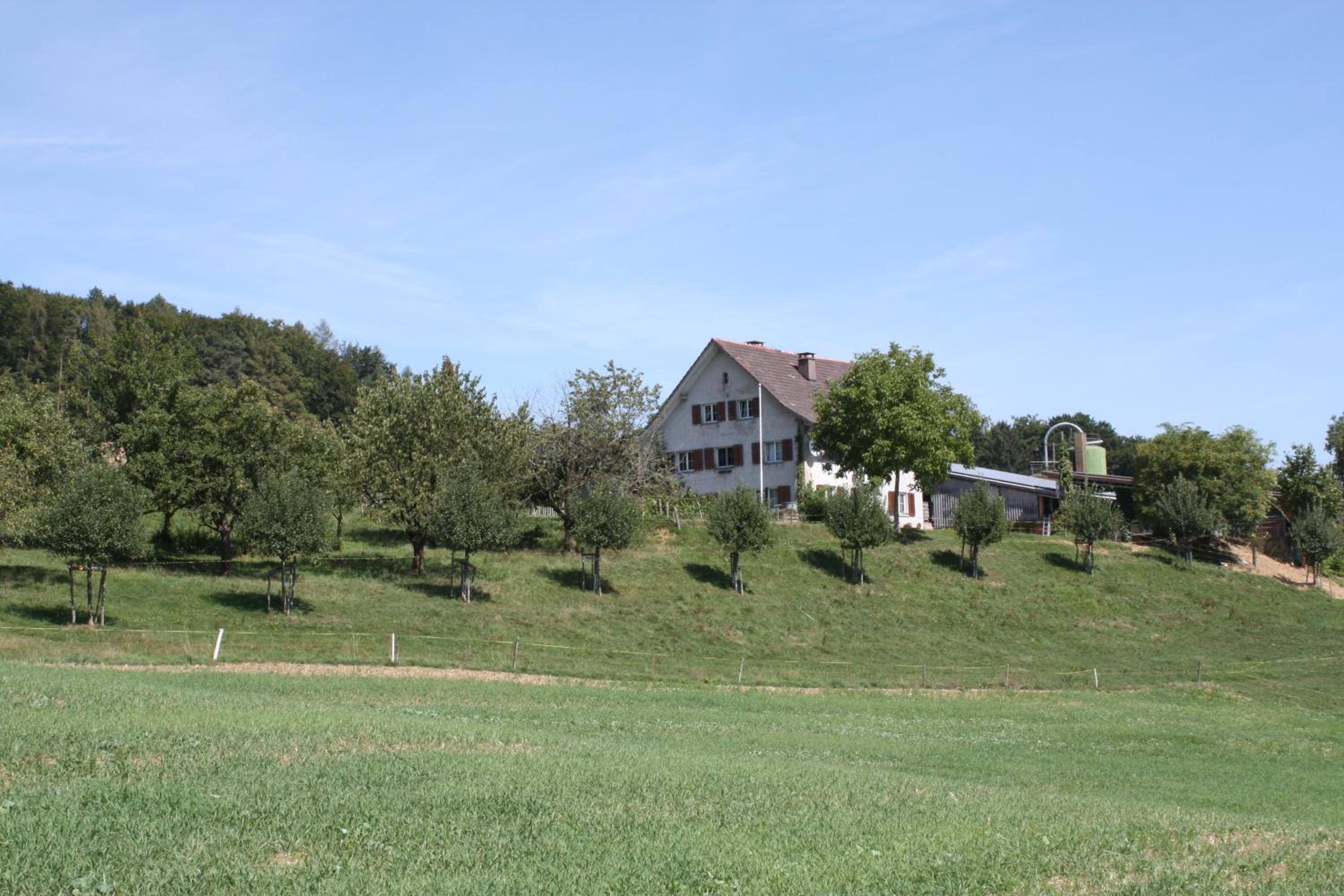 BnB im Waldhof Images