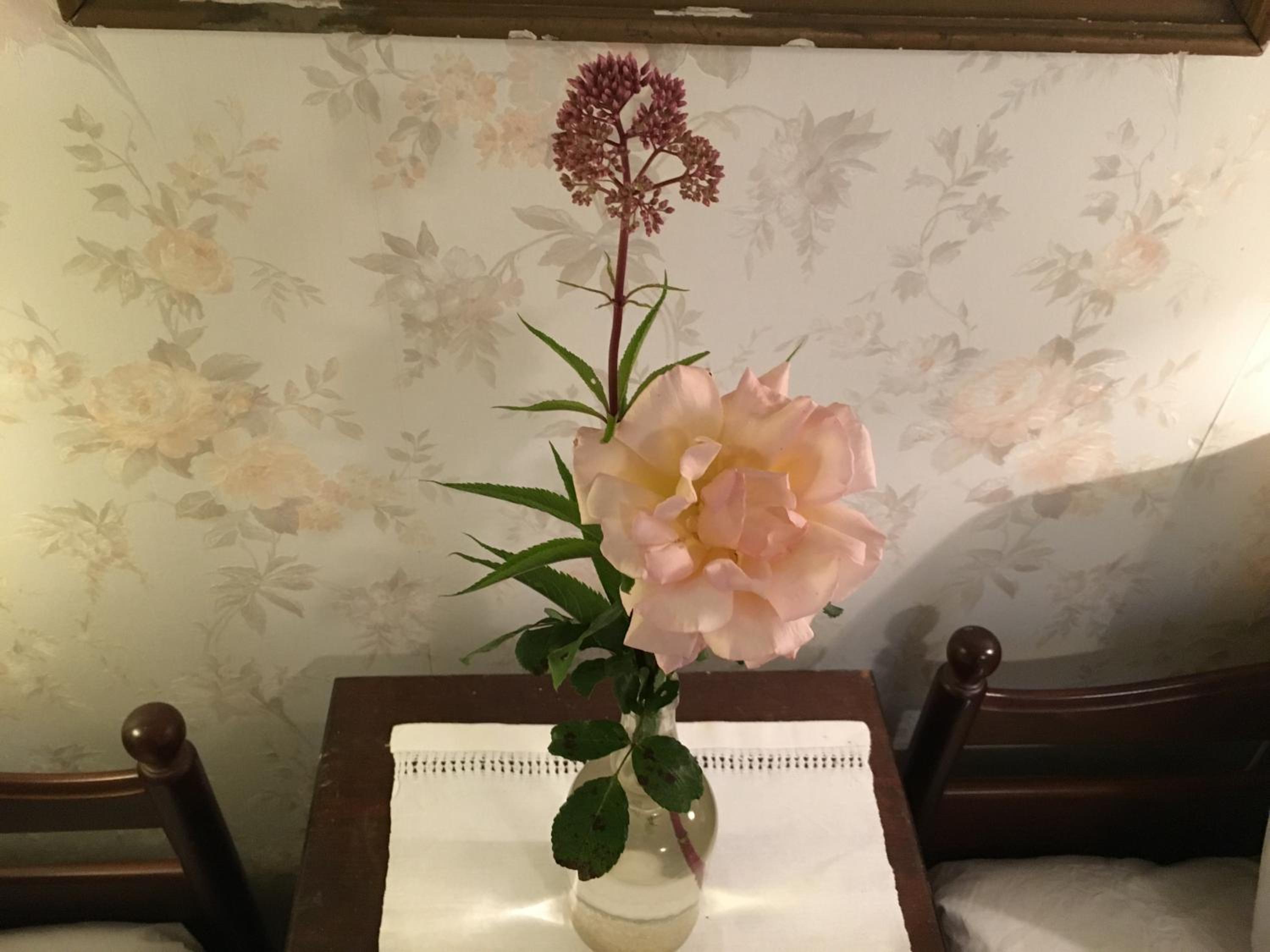 Berte Bed&Breakfast Images